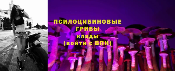 метадон Вяземский