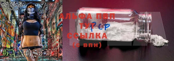 сатива Вязники